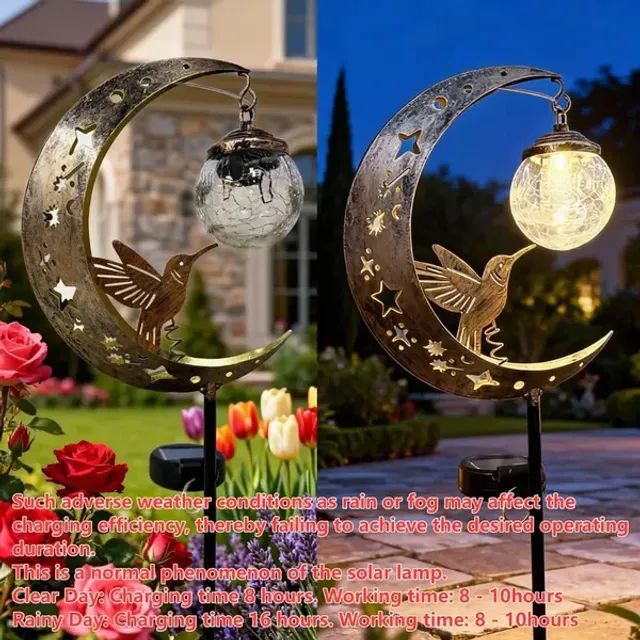 /6a19702a5815300009585695/2026/06/11/product-img-6a2a836c91ef3d0d28f9e298.webp